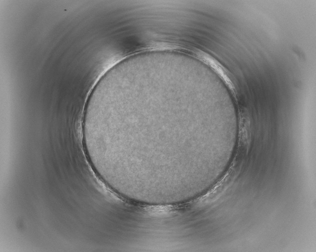 X0000115410810200912011224