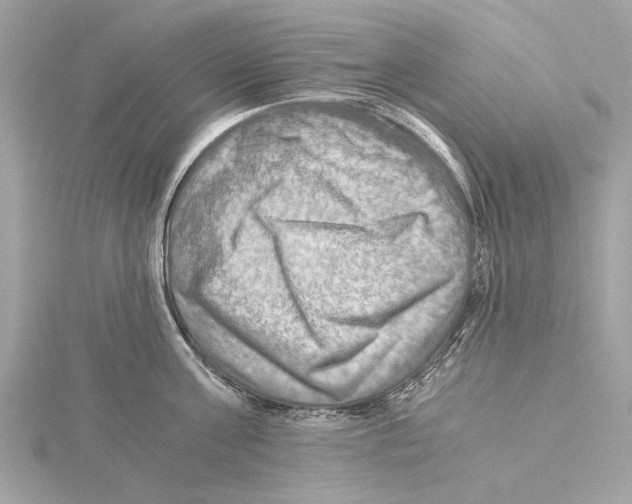 X0000115410811200912011224