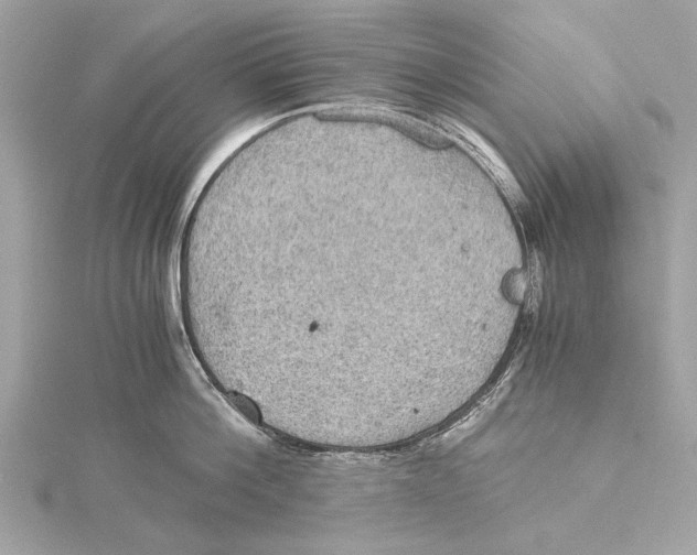 X0000115410812200912011224