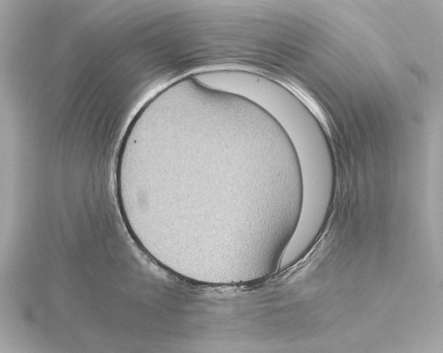 X0000115410813200912011224