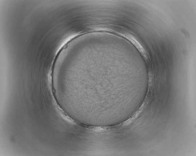 X0000115410814200912011224