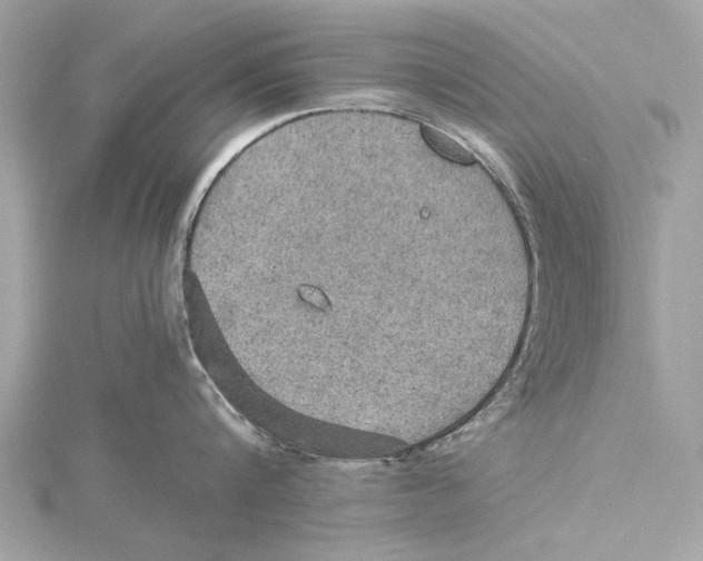 X0000115410816200912011224