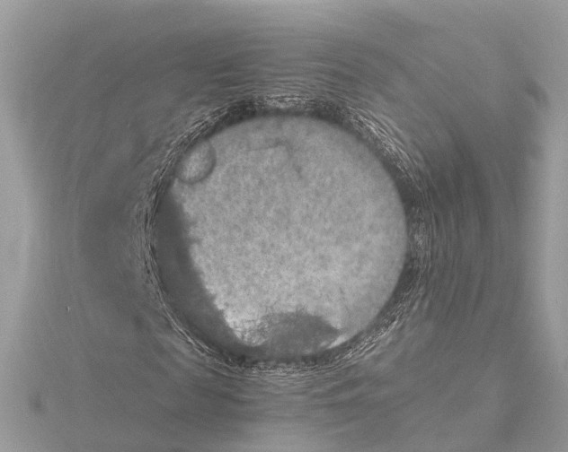 X0000115410817200912011223