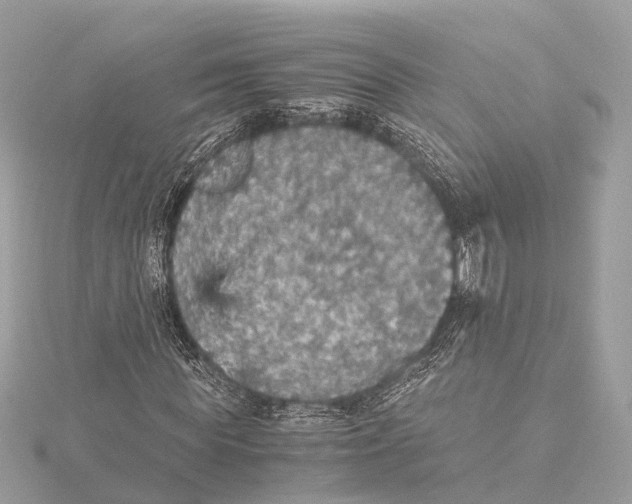 X0000115410819200912011223