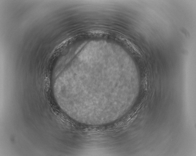 X0000115410821200912011223