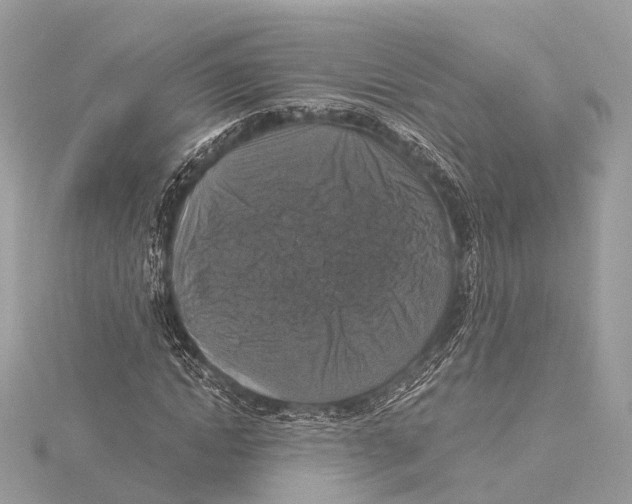 X0000115410822200912011223