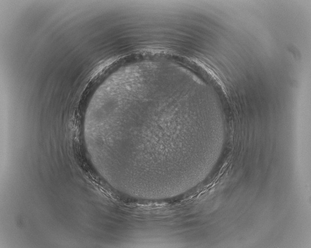 X0000115410823200912011223