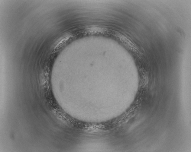 X0000115410824200912011223