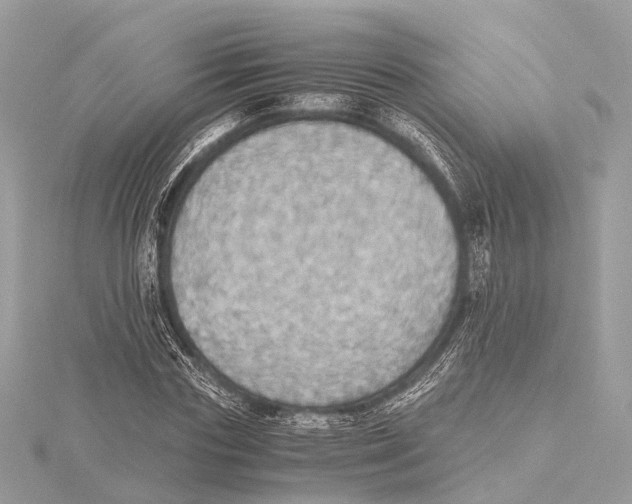 X0000115410827200912011223