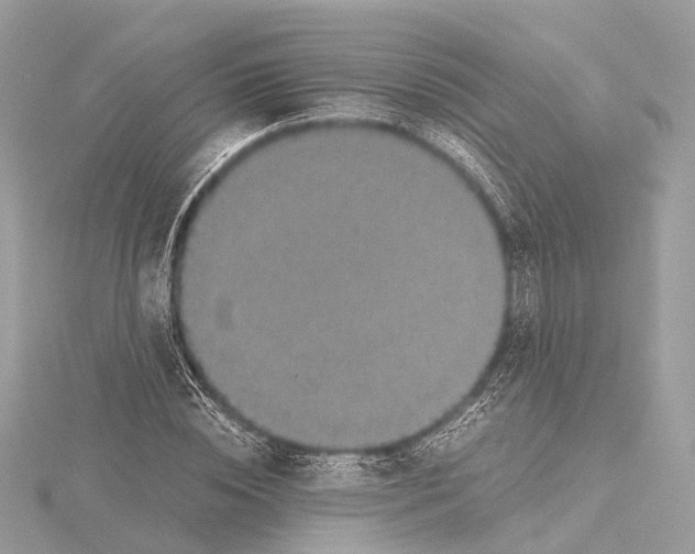 X0000115410828200912011224