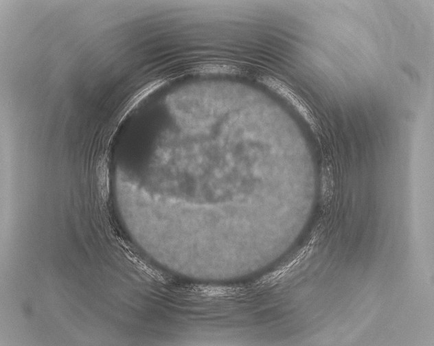 X0000115410829200912011224