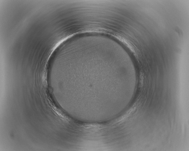 X0000115410830200912011224