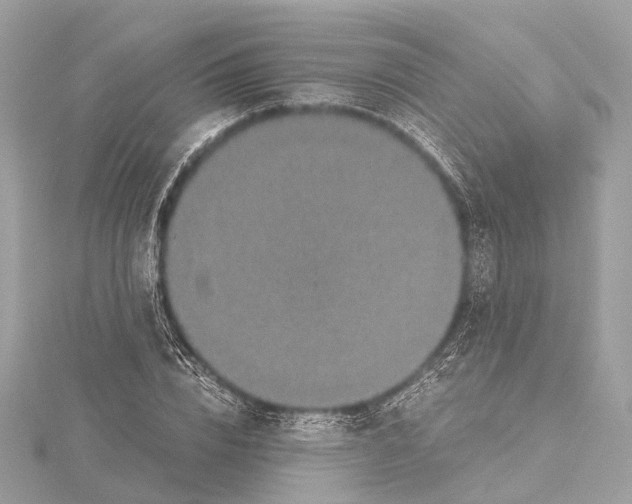 X0000115410832200912011224