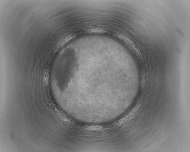 X0000115410833200912011224