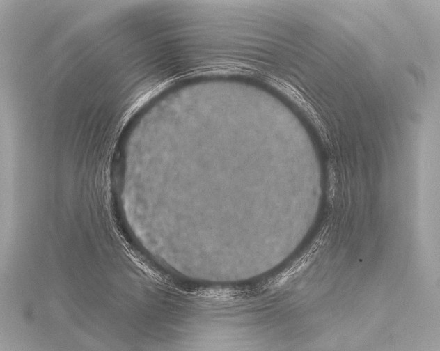 X0000115410834200912011224