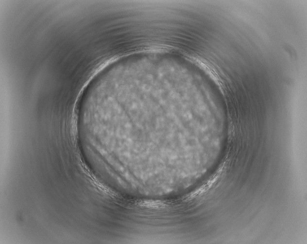 X0000115410835200912011224