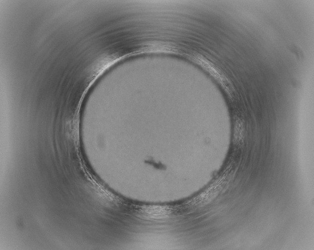 X0000115410836200912011224