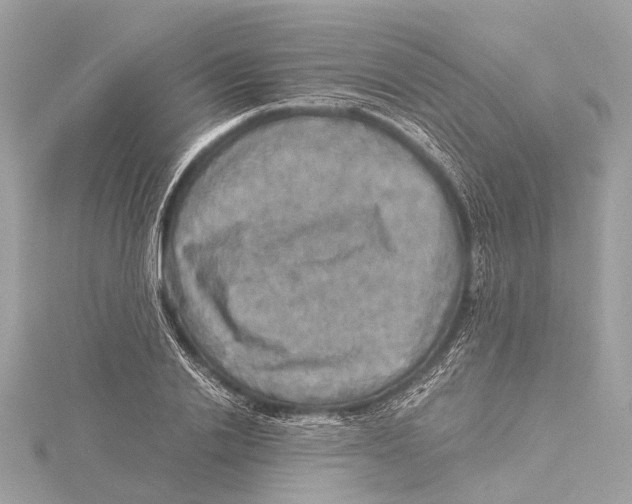 X0000115410838200912011224