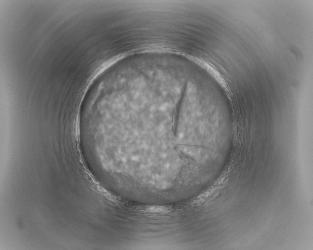 X0000115410839200912011224