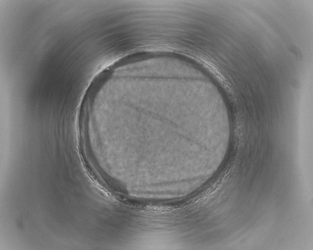 X0000115410840200912011224