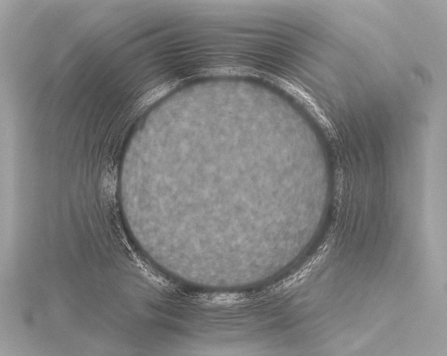 X0000115410841200912011224