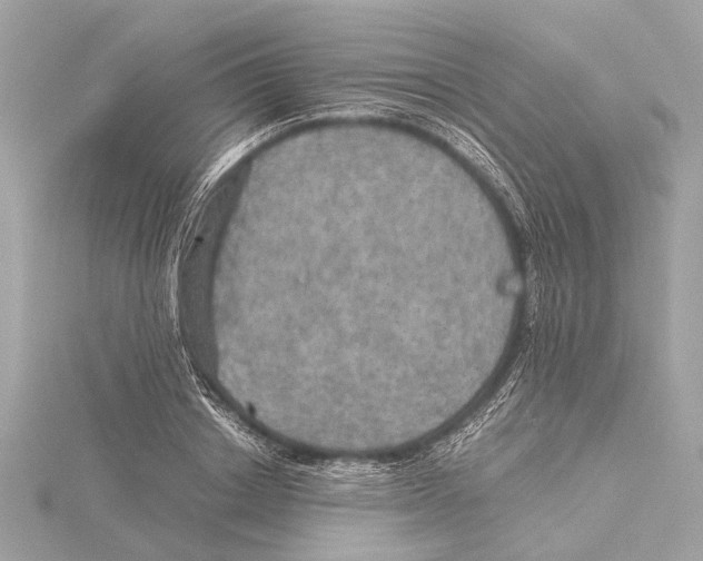 X0000115410842200912011224