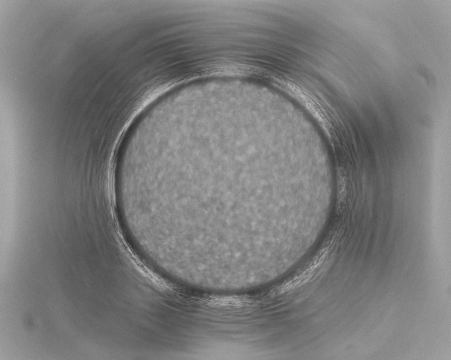 X0000115410843200912011224