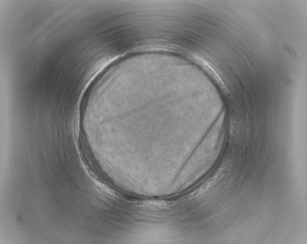 X0000115410844200912011224