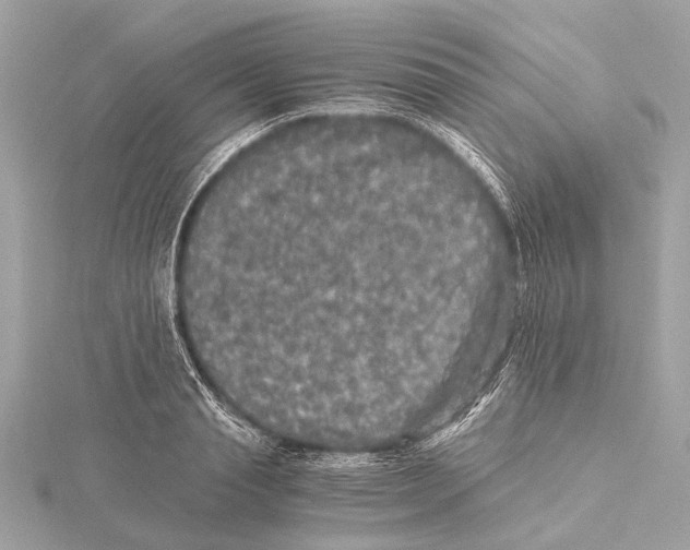 X0000115410845200912011224