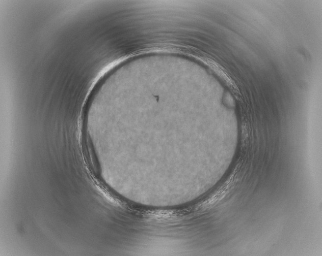 X0000115410846200912011224