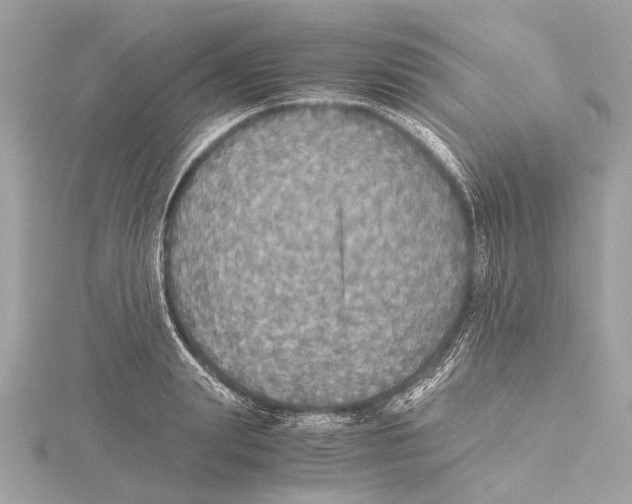 X0000115410847200912011224