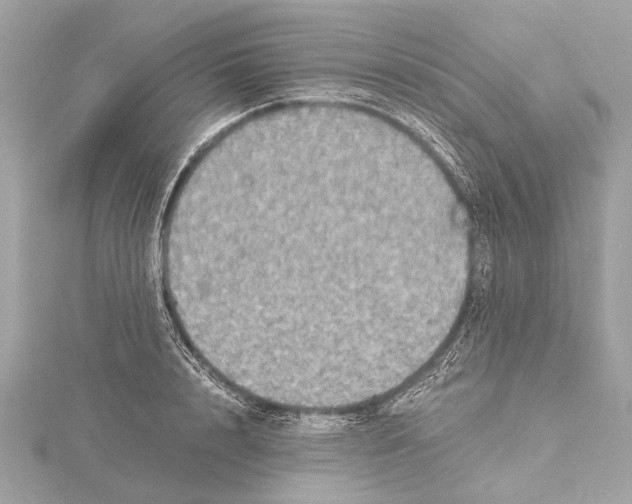 X0000115410848200912011224