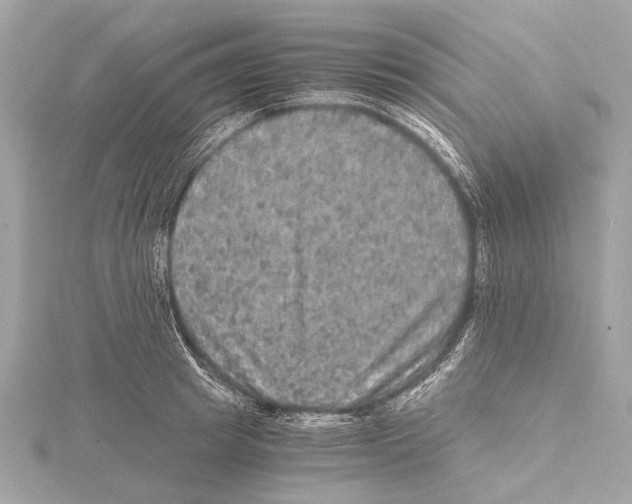 X0000115410849200912011224