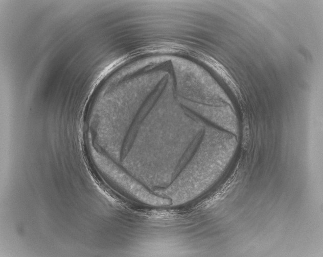 X0000115410850200912011224