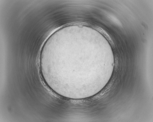 X0000115410852200912011224