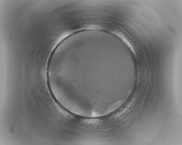 X0000115410853200912011224