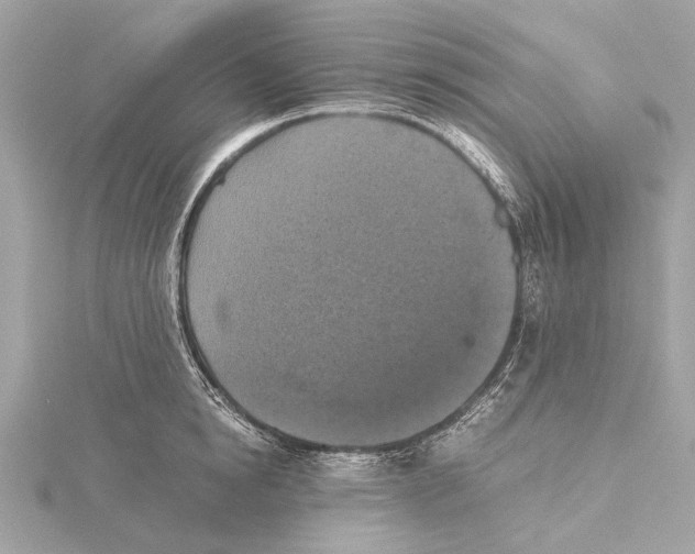 X0000115410854200912011224