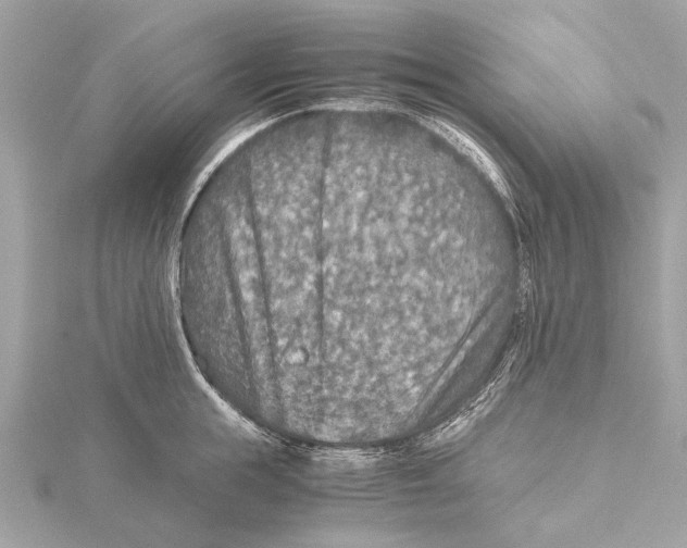 X0000115410855200912011224