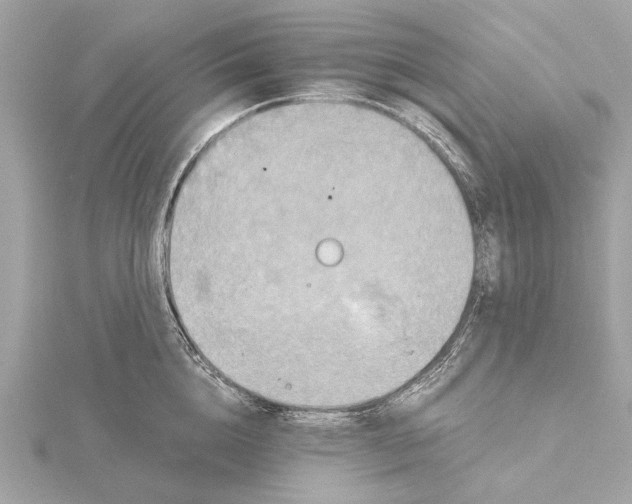 X0000115410856200912011224