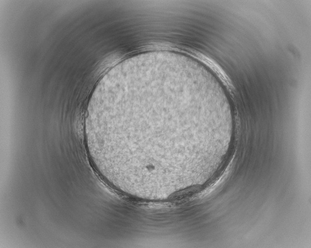 X0000115410857200912011224