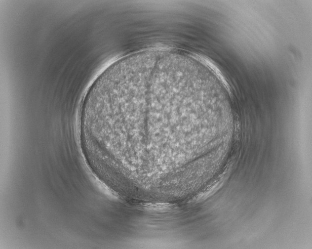 X0000115410859200912011224