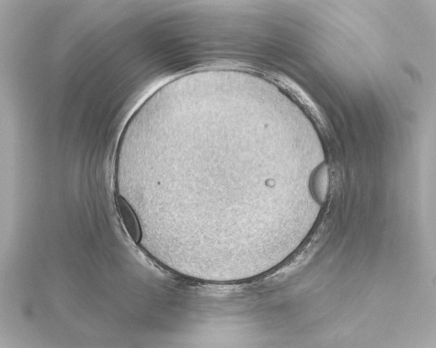 X0000115410860200912011224