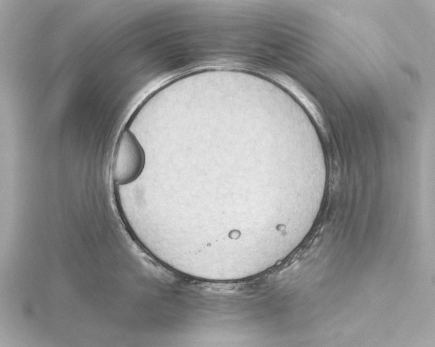 X0000115410861200912011224