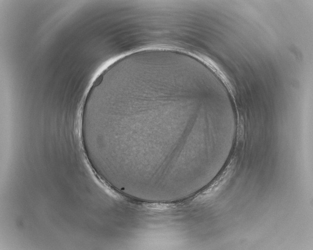 X0000115410862200912011224