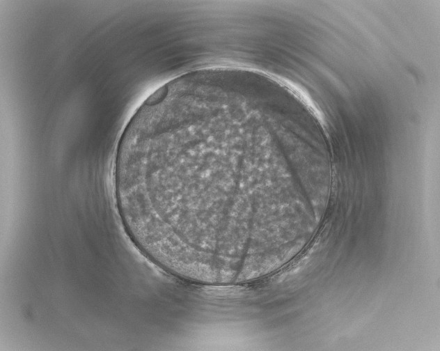 X0000115410863200912011224