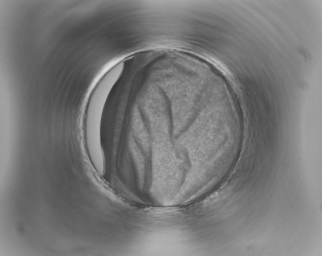 X0000115410864200912011224