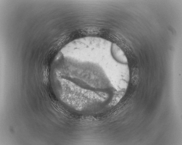 X0000115410866200912011223