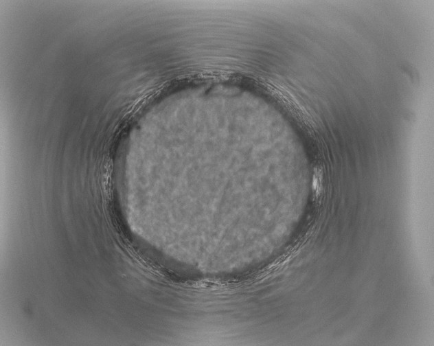 X0000115410867200912011223