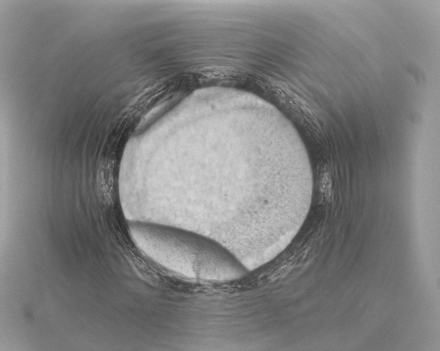 X0000115410868200912011223