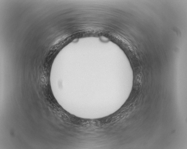 X0000115410869200912011223